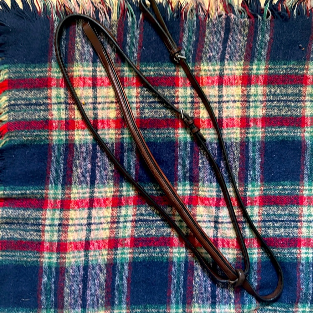 Standing Martingale  horse size.